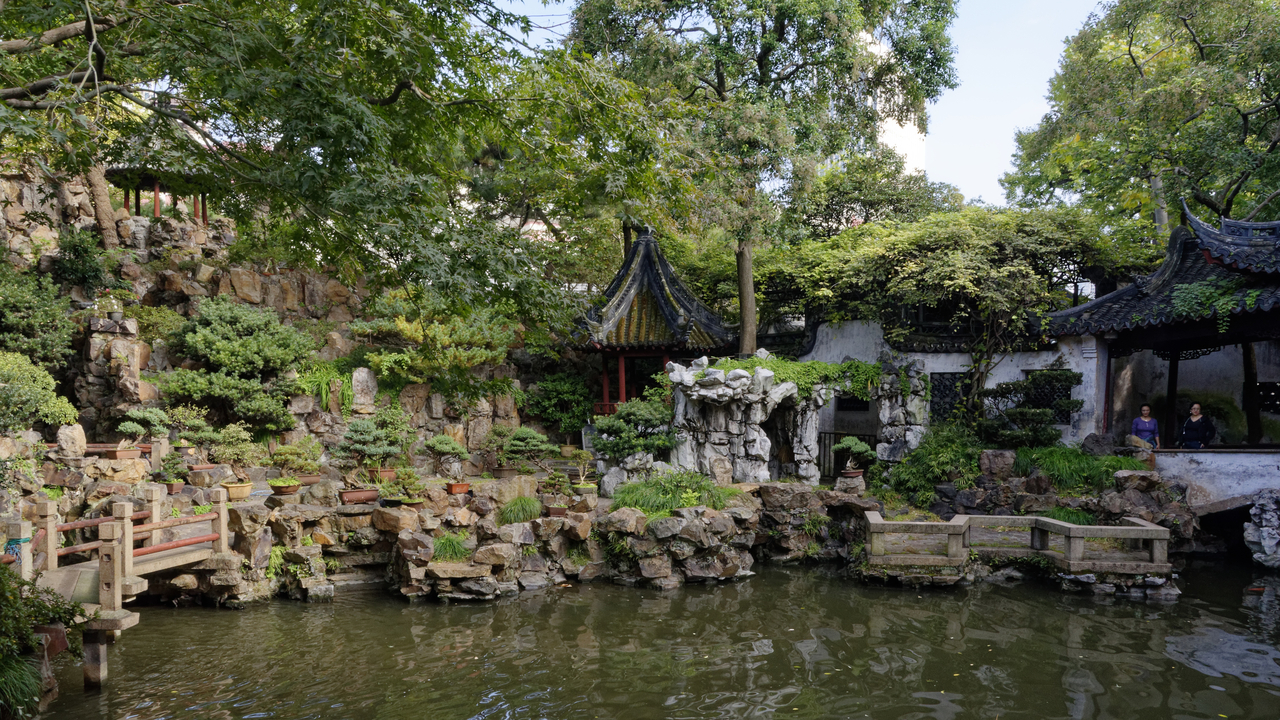 20161112 092801•Shanghai•Shanghai•China